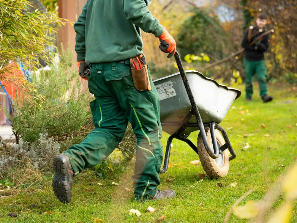 A worker pushing a wheelbarrow across a lawn