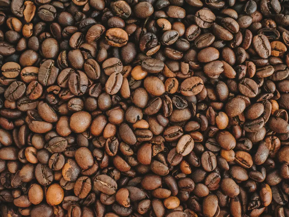 Roasted coffee beans
