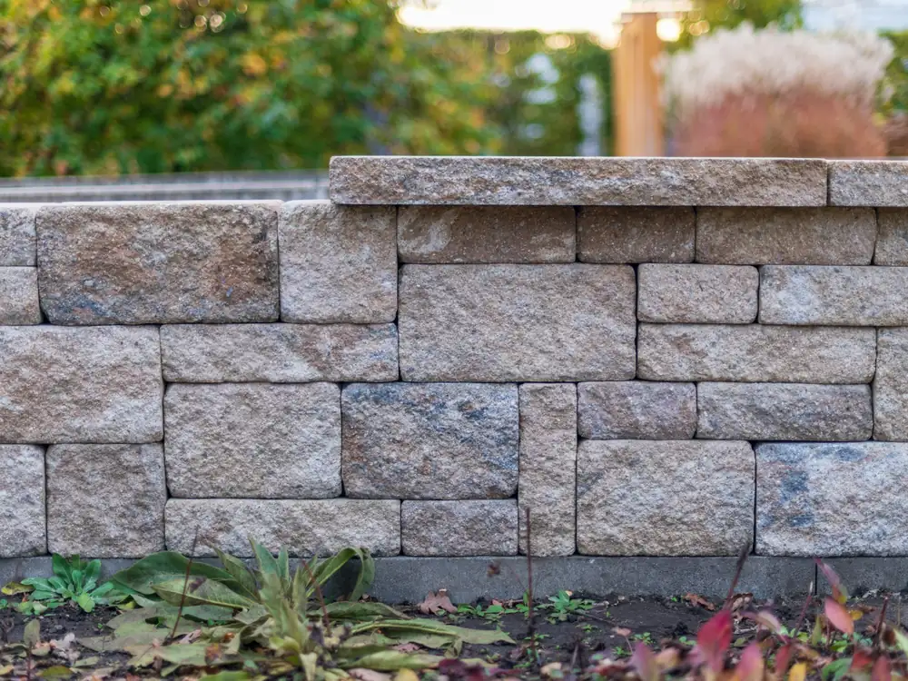 A stone garden wall with plants